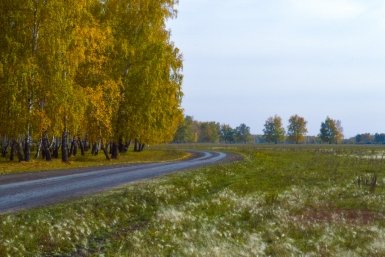 Дачный сезон стартует с благоустройства участков и ремонта домов Евгений Овдеенко, ИА OmskMedia