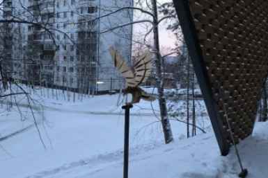 Металлический орел на улице Школьной был местной достопримечательностью пресс-служба администрации Тынды