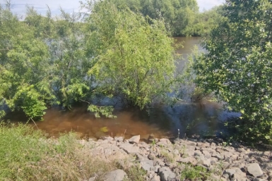 Паводок, наводнение, река, вода Марина  Померанцева , ИА EAOMedia