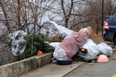 мусорный контейнер, мусорка, вывоз мусора, выброшенные елки, ёлки Евгений  Кулешов, ИА PrimaMedia.ru