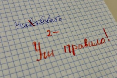 Учителя русского языка обожают тех, кто пишет эти 5 слов без ошибок - жесткий диктант на грамотность ИА KrasnodarMedia