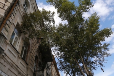 Город Абрамченко Анета