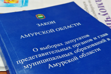 В Приамурье завершилось выдвижение кандидатов в Заксобрание