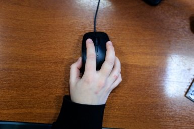 мышь, компьютер Евгений  Кулешов, ИА PrimaMedia.ru