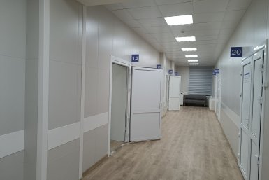 Двое грузчиков умерли от малярии после укуса комара в самолете из Африки
