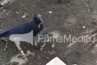 Скриншот видео ИА PrimaMedia