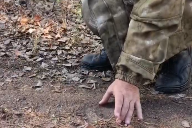 Следы медведя Кадры из видео