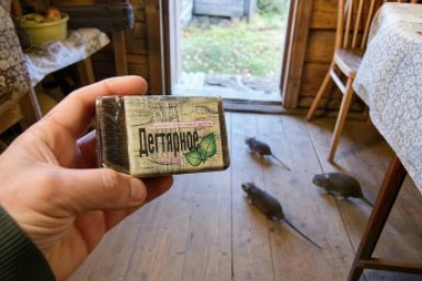 Тематическое фото Создано при помощи ИИ