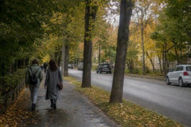 Тематическое фото Создано при помощи ИИ