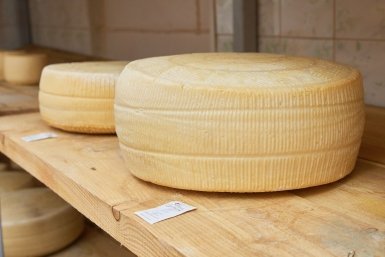 Завод по производству сыра построят в Казахстане Дмитрий Осипчук, ИА PrimaMedia