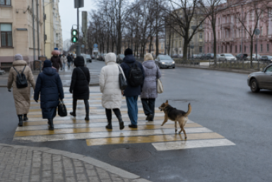 Тематическое фото Создано при помощи ИИ