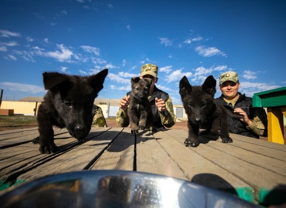 "Служат два товарища" – голосуем за обаятельных напарников росгвардейцев в фотоконкурсе