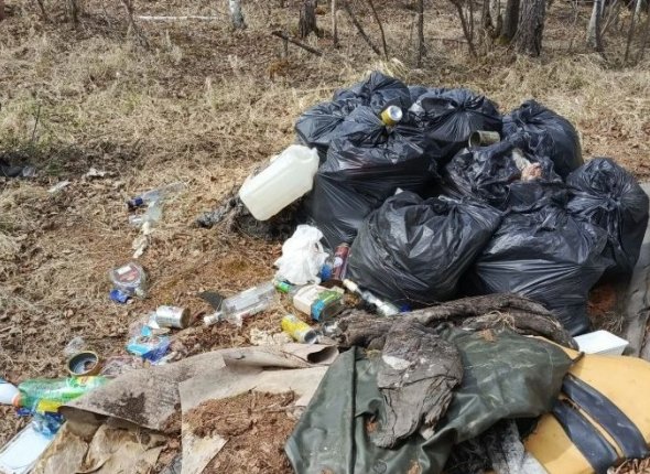 Школьник из Приамурья приехал в победой с престижной химической Олимпиады