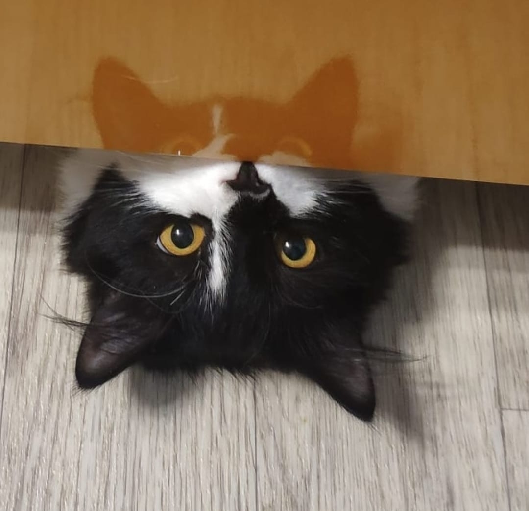 Тематическое фото ИА PriamurMedia