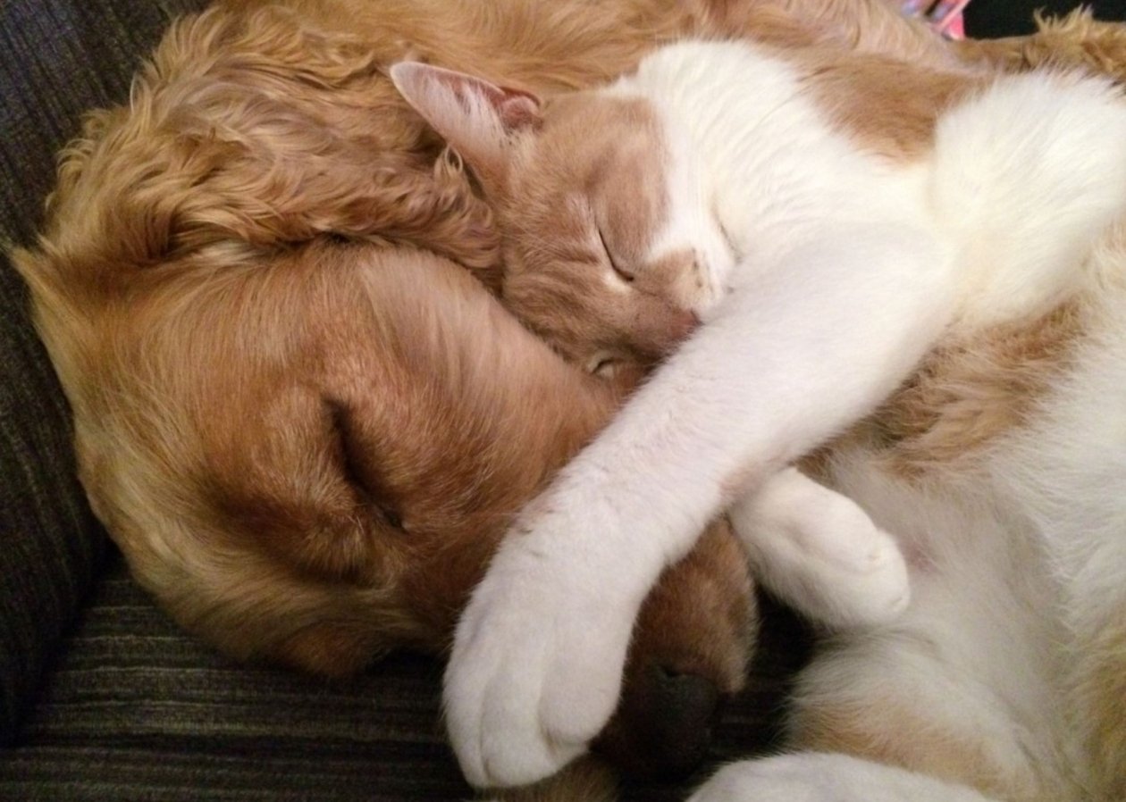 Тематическое фото pxhere.com