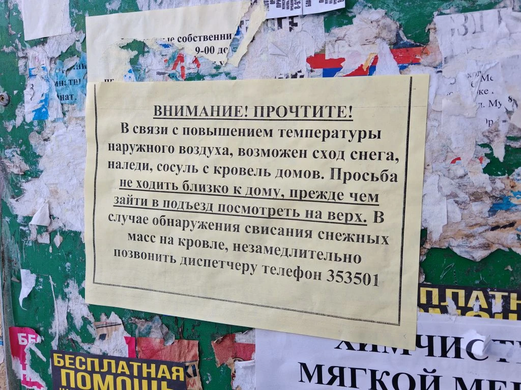 Юлия Ожегова, ИА PriamurMedia