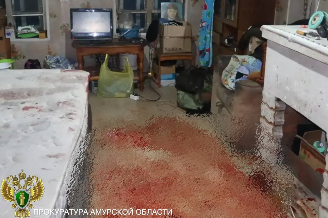 Амурчанка устроила кровавую бойню ножом и монтировкой прокуратура Амурской области