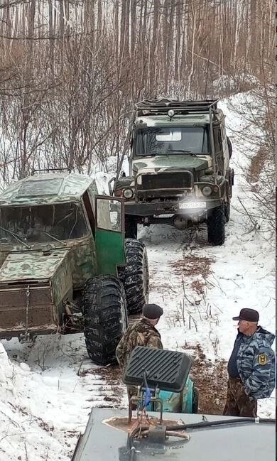 Компания намеревалась проложить дорогу для тяжелой техники через весь заказник управление по охране животного мира Амурской области