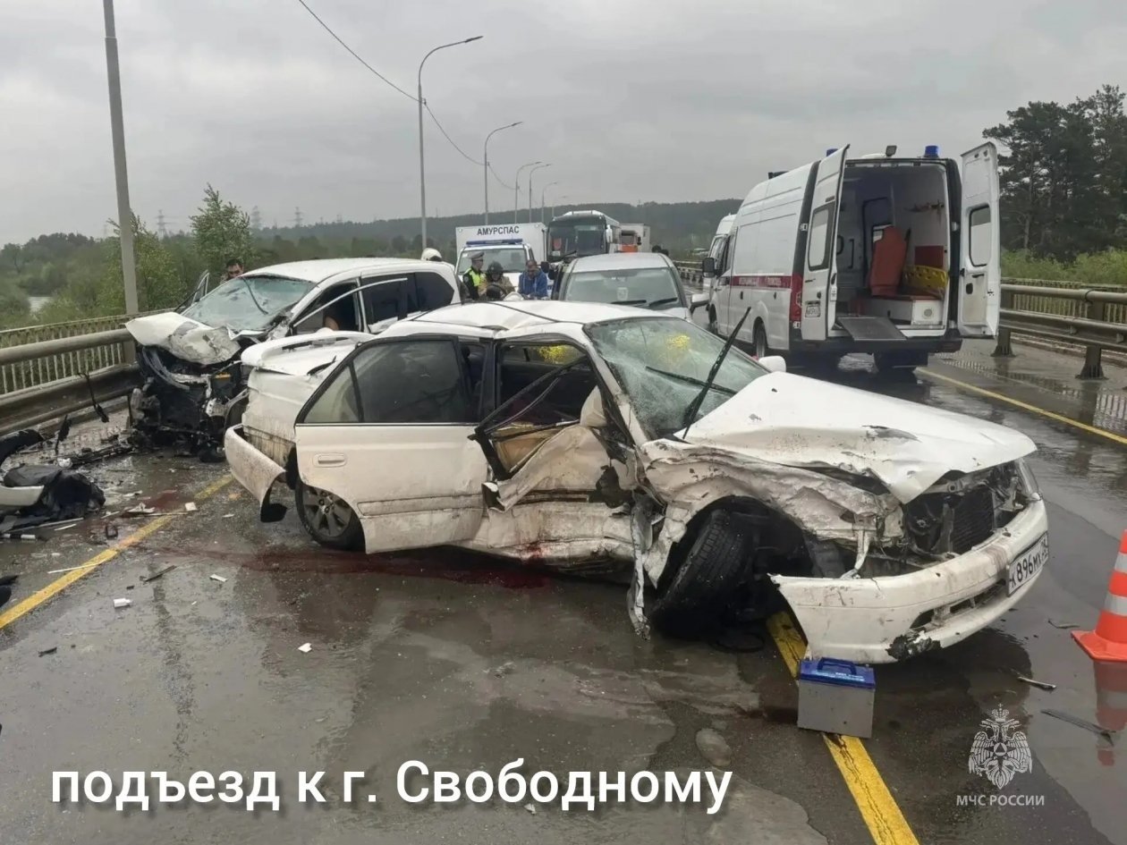 ГУ МЧС России по Амурской области