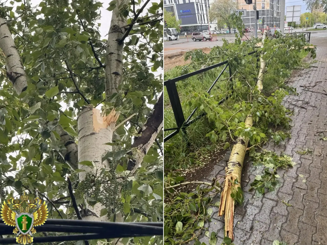 ЧП произошло на улице Загородной, пострадавший в больнице прокуратура Амурской области