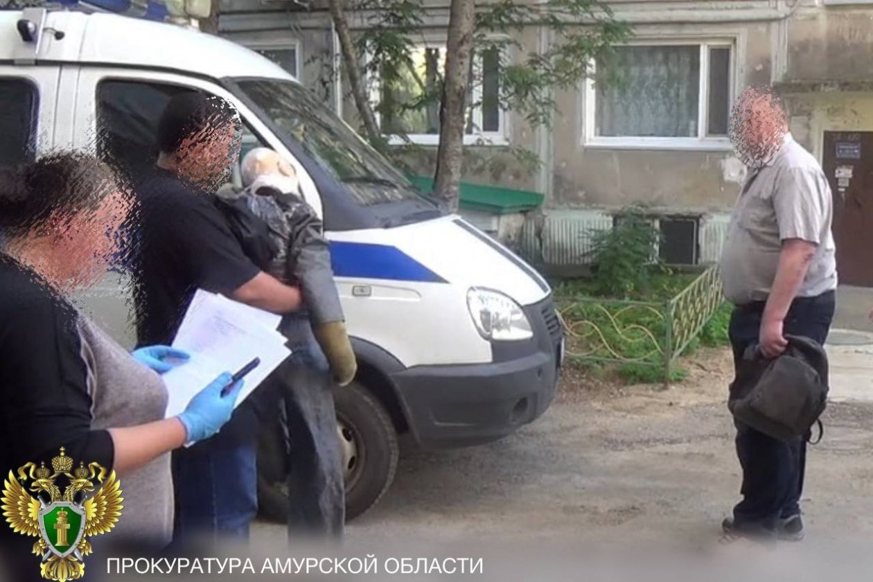 Убийцу пожилой матери отправили в колонию строгого режима прокуратура Амурской области