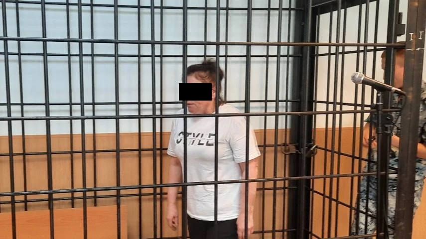 Свободненский городской суд