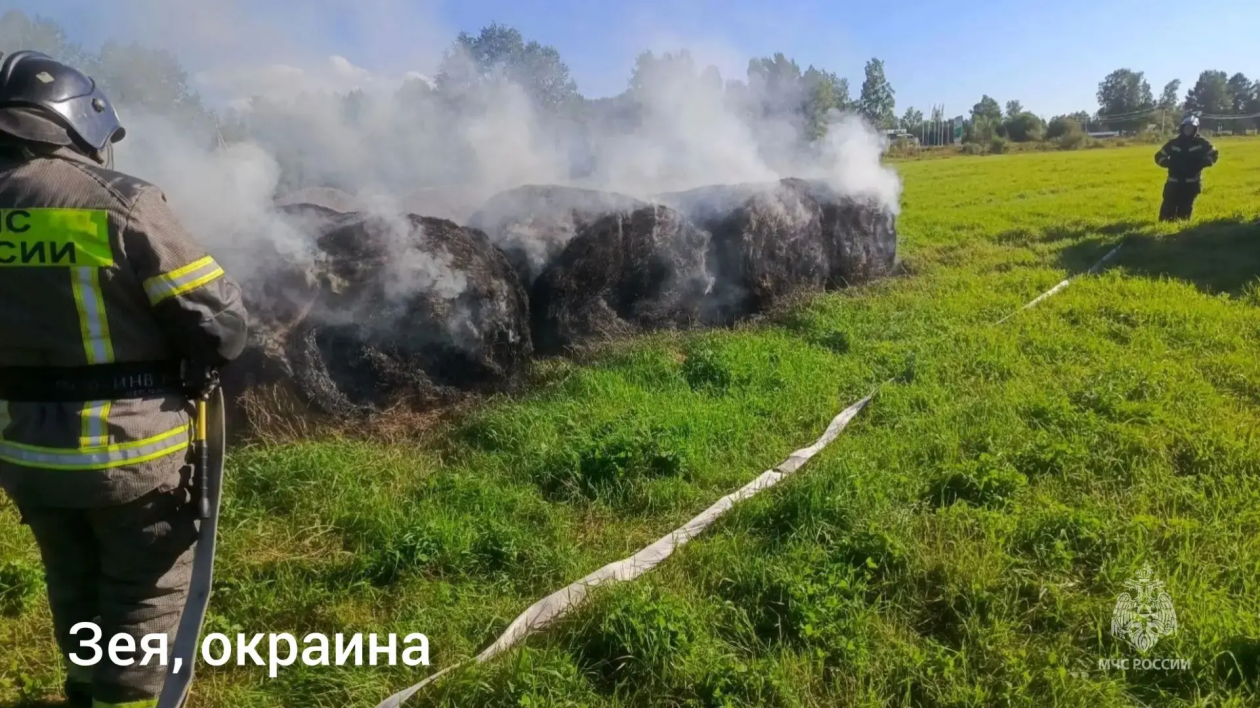 Белогорск, Благовещенск, Зея: где и что горело в области