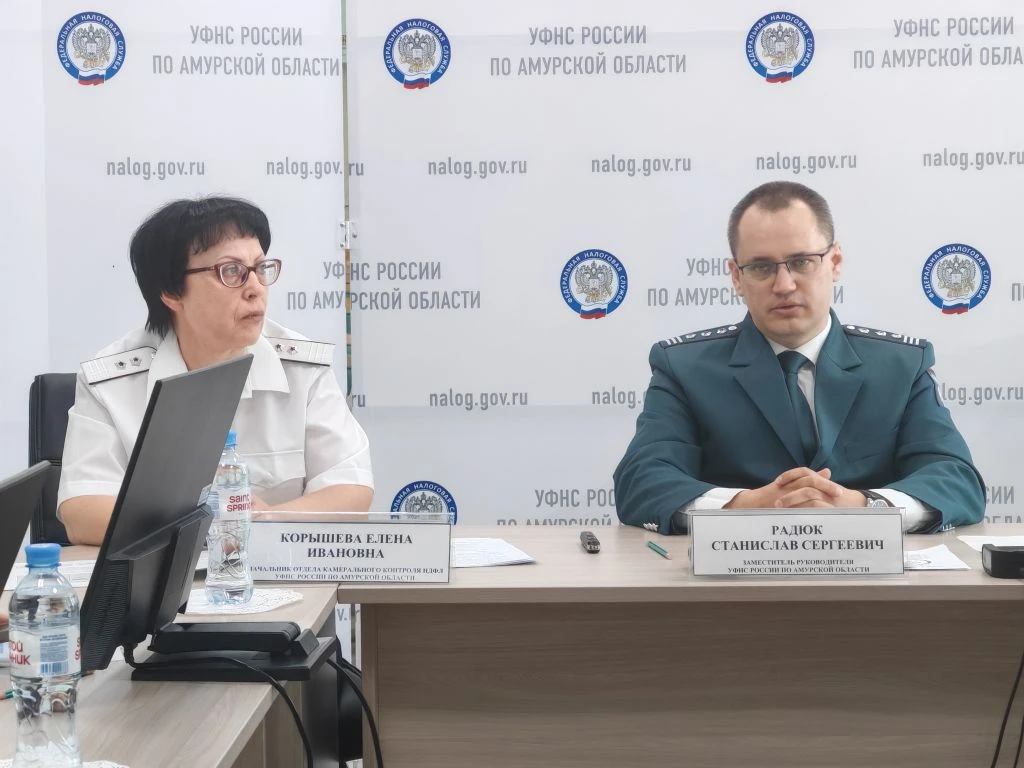 В УФНС напомнили амурчанам о необходимости отчитаться о доходах Юлия Ожегова, ИА PriamurMedia