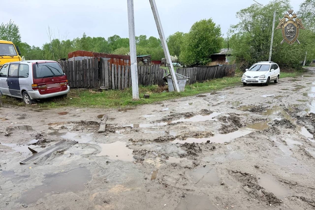 7-летний мальчик провалился в грязевую яму на дороге СУ СК России по Амурской области