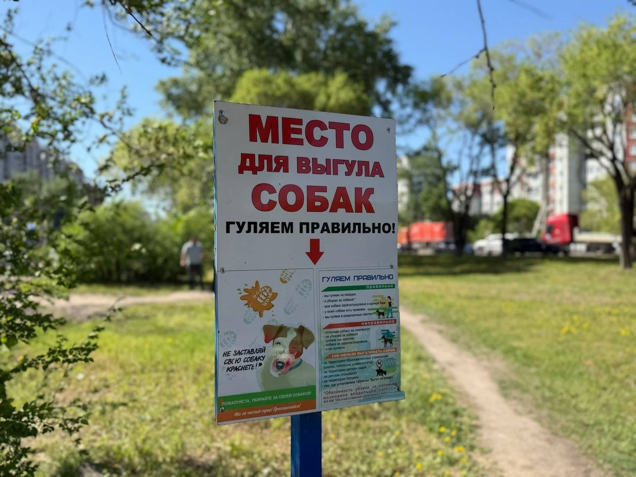 В Благовещенске приступили к строительству спецплощадки для собак тг-канал (16+) мэра Благовещенска
