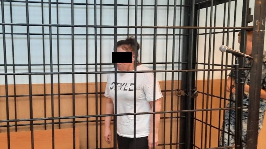 Жительница Свободного взята под стражу по обвинению в убийстве Свободненский городской суд