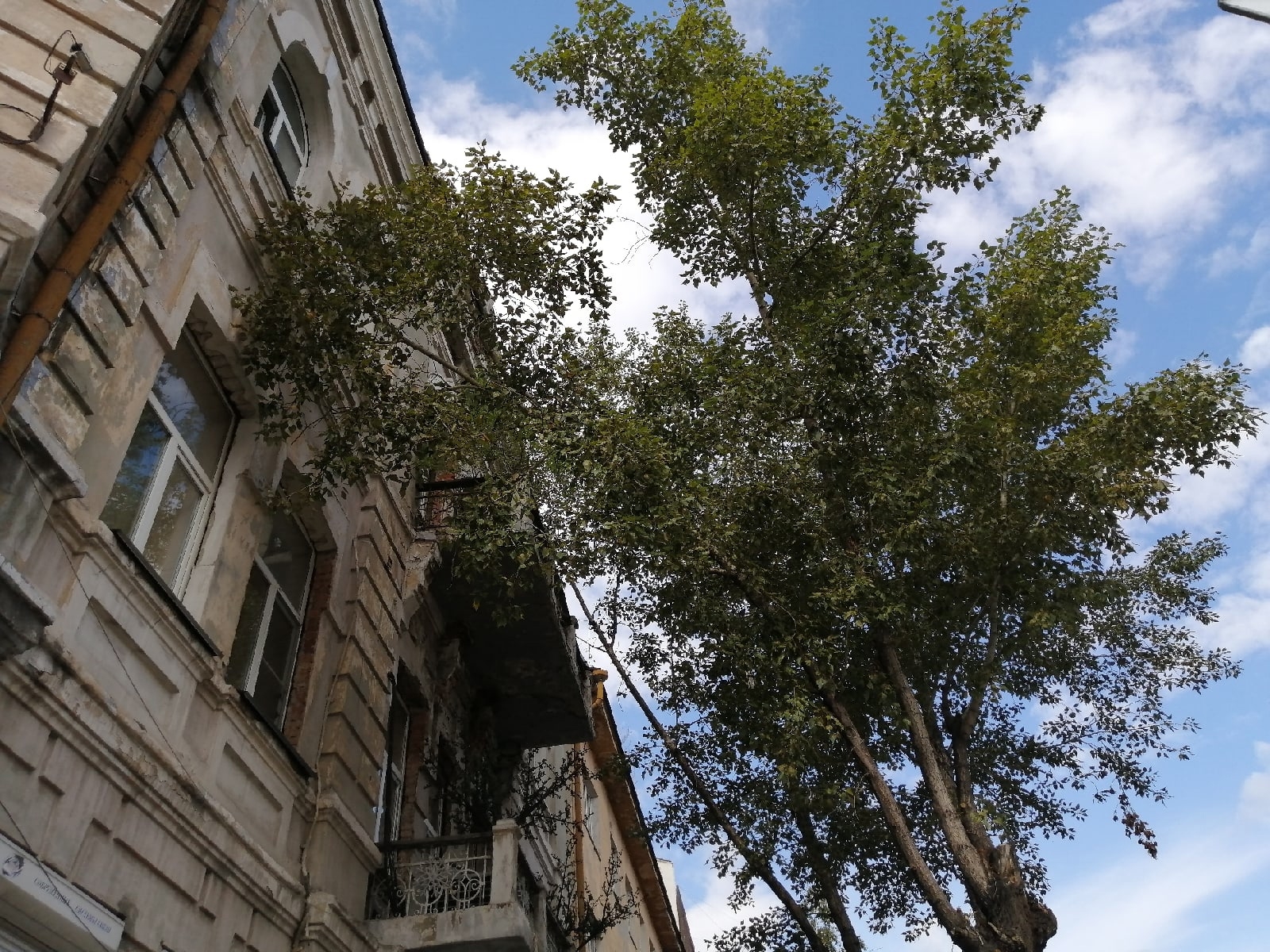 Город Абрамченко Анета