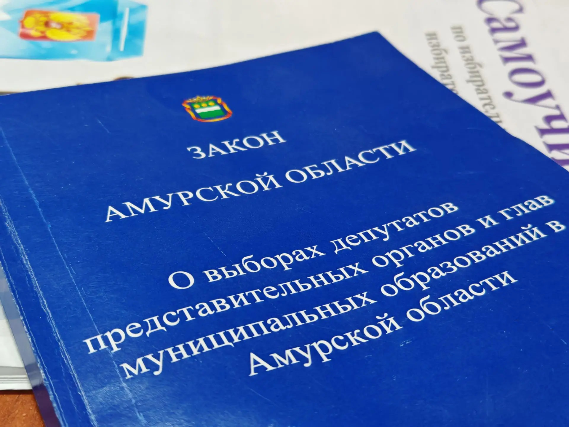 Битва за мандаты: известны участники выборов в парламент Приамурья Юлия Ожегова, ИА PriamurMedia