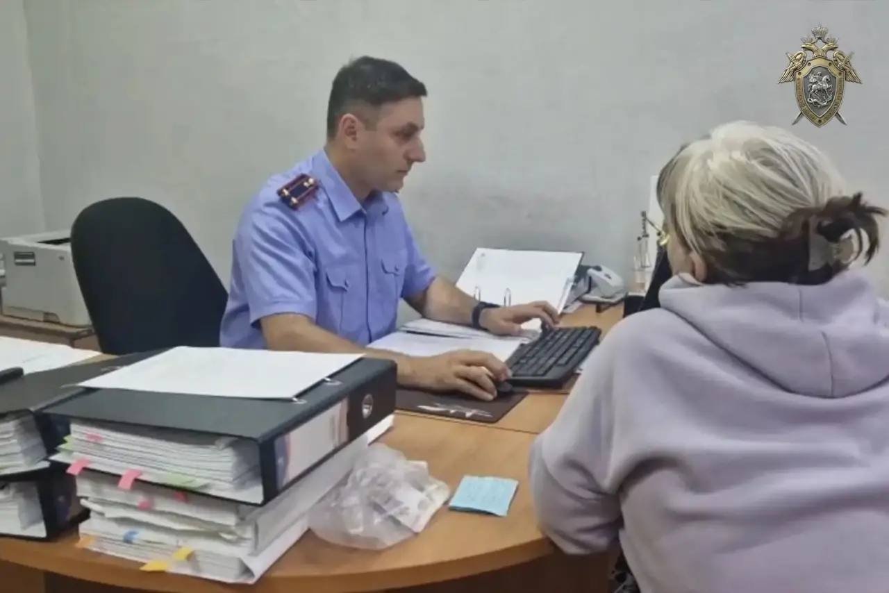 Обвиняемую заключили под стражу СУ СК России по Амурской области