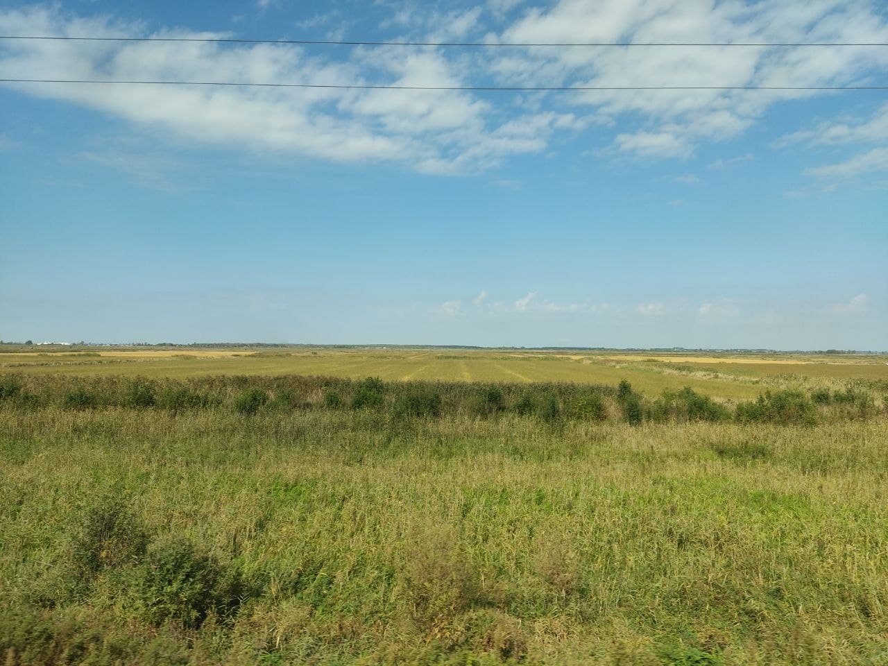 Поле Петр Максимов