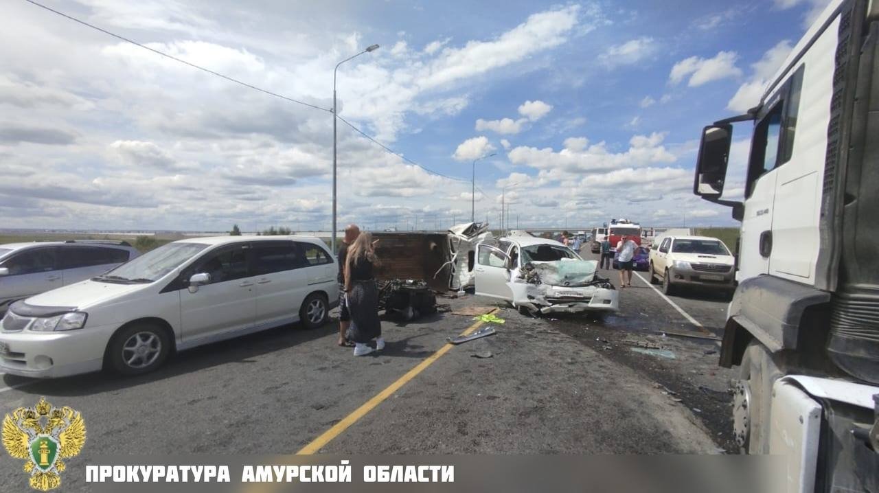 Водитель Toyota Wish скончался в реанимации после столкновения с грузовиком прокуратура Амурской области