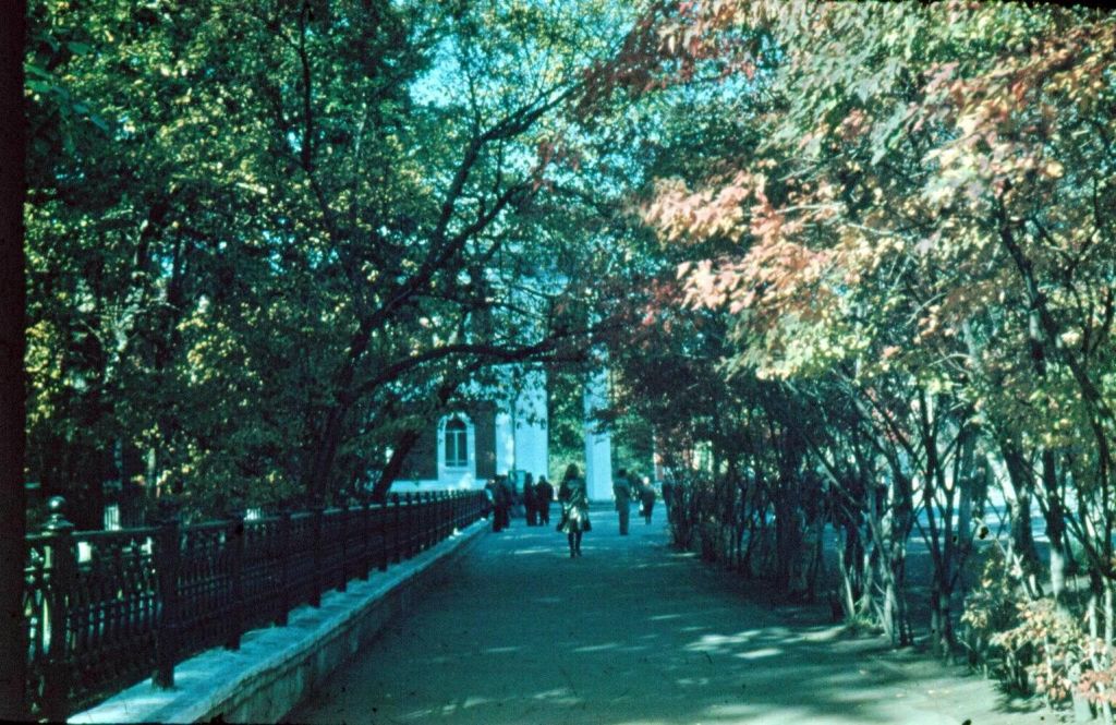 Фото дня