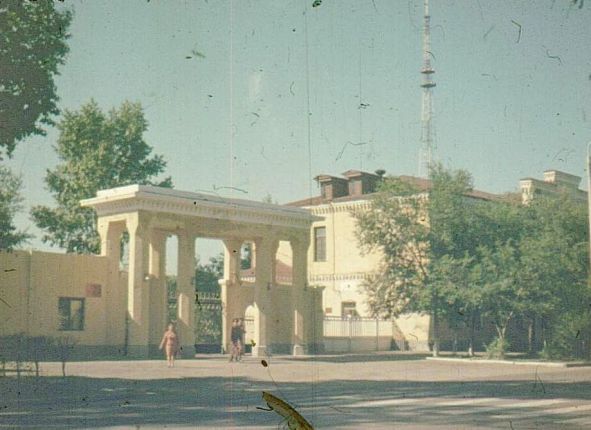 Фото дня