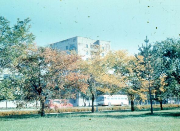 Фото дня