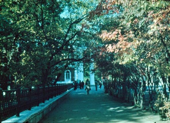 Фото дня